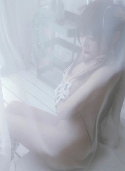 玉簿团